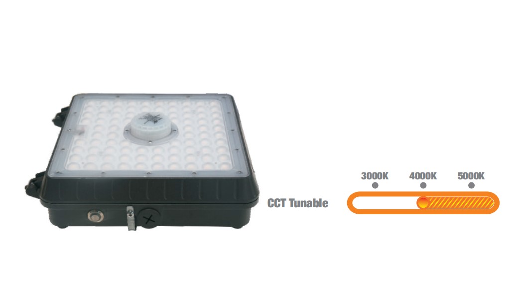 25 W, 45 W, 55 W, wählbar, 3 CCT in einem, 130 lm/w, 5 Jahre Garantie, IP65, wasserdichte LED-Garagen-Überdachungsleuchte